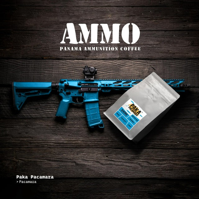 Café 300 Win Mag Grano arabico Pacamara 240G